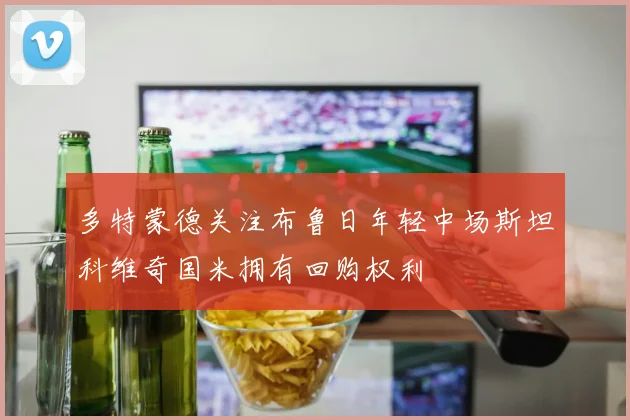 多特蒙德关注布鲁日年轻中场斯坦科维奇国米拥有回购权利