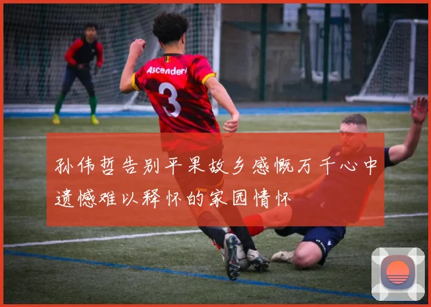 孙伟哲告别平果故乡感慨万千心中遗憾难以释怀的家园情怀