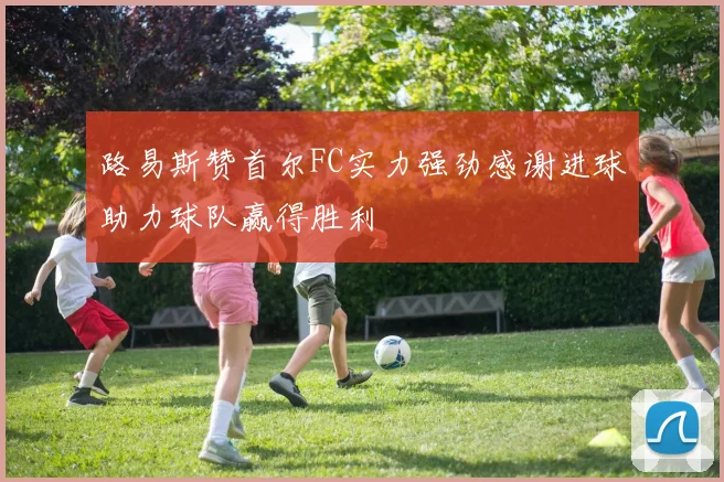 路易斯赞首尔FC实力强劲感谢进球助力球队赢得胜利