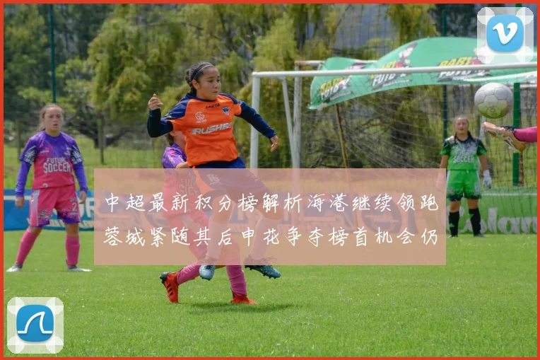 中超最新积分榜解析海港继续领跑蓉城紧随其后申花争夺榜首机会仍在